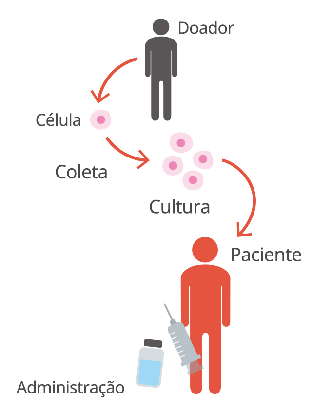 Donor → Célula → Coleta → Cultura → Administração Paciente